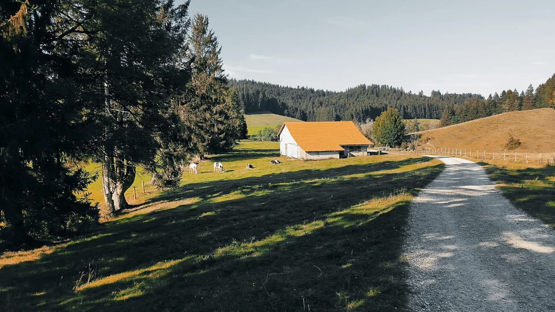 Fewo Allgaeuerle1604 Mit Hallenbad, Sauna Und Wlan Missen-Wilhams 0*,